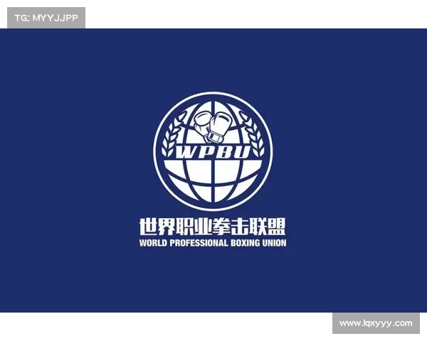 世界职业拳击各级别排名 世界职业拳击各级别排名